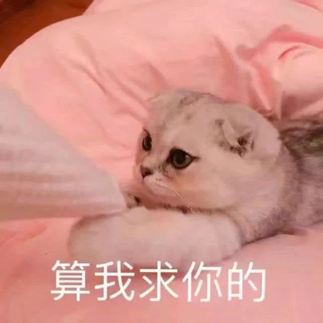 让女友同意和你