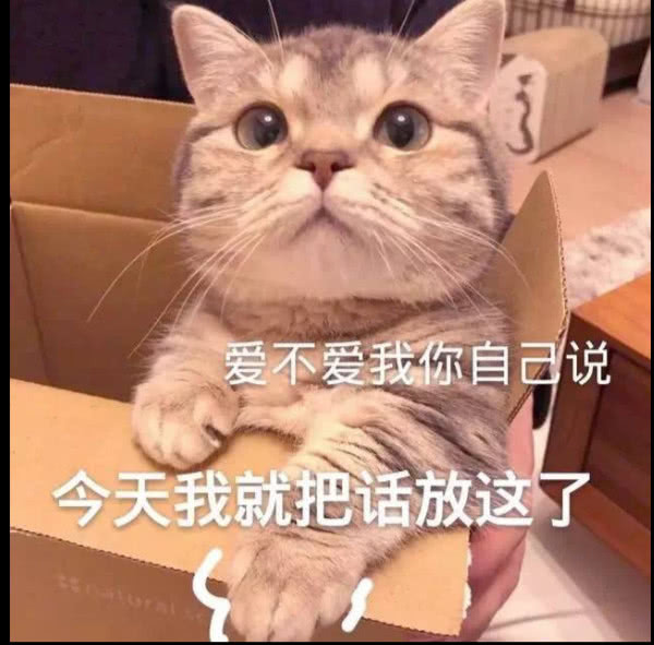 明天就是520了,还没表白?送你表情包:我的520礼物有吗
