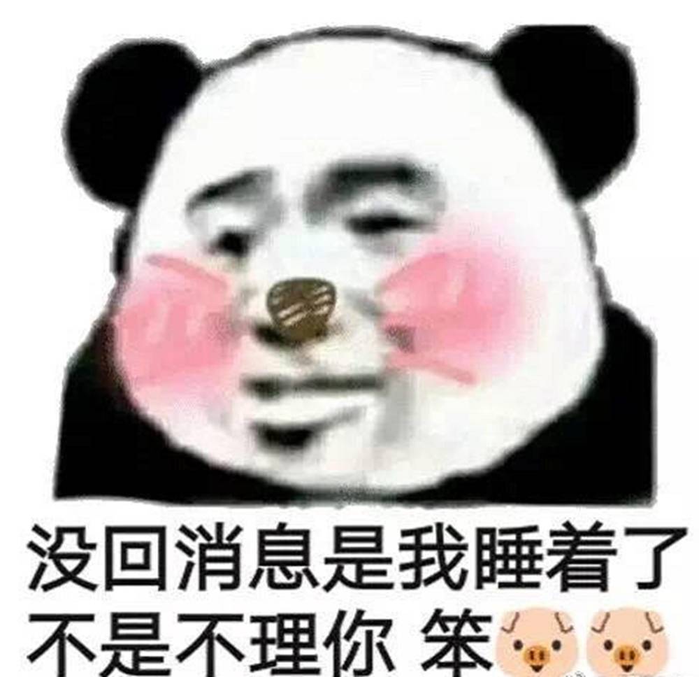 聊天专门使用的表情:没回消息是我睡着了,不是不理你