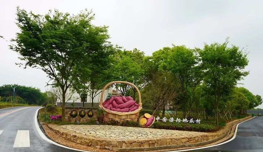 溧阳牛马塘,一个颜值与美味兼具的网红村!