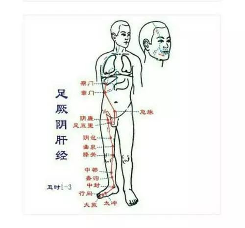 治疗方法是推大腿内侧的肝经和外侧的胆经,敲带脉穴.