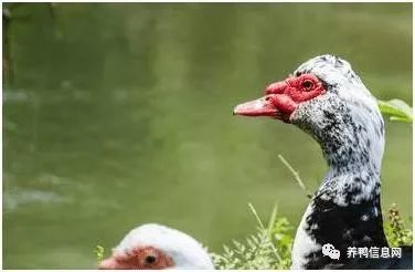 640