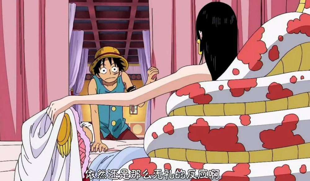 尾田钦定的路飞媳妇,不是朝夕相处的娜美,而是仅有短暂缘分的她