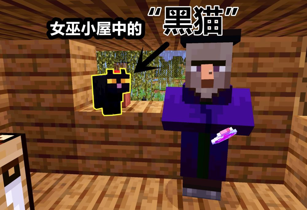我的世界:关于猫的10个冷知识,mc神秘的异瞳猫!你发现了么