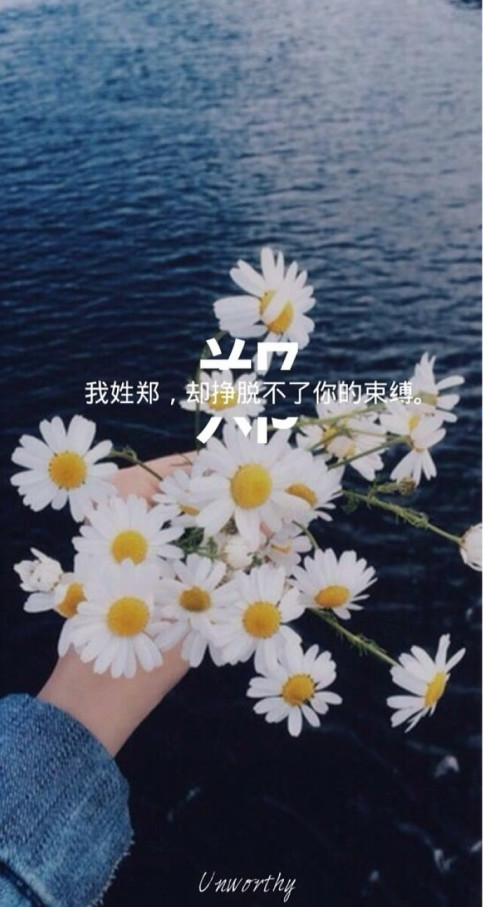 "唯美·姓氏"壁纸:我姓白,愿为你在飘雪的冬季穿上