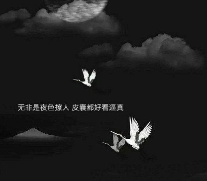 ins·阴暗系·背景图:"你害怕她的肚子里为你死过人吗