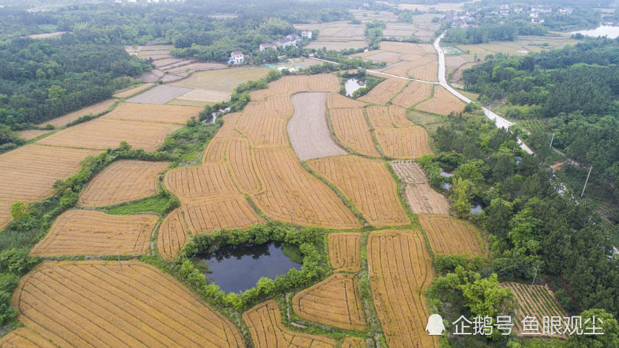 航拍郎溪田园风光:美丽乡村 如诗如画