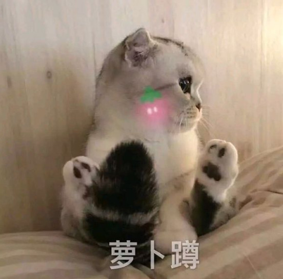 搞笑萌宠表情包:小小的眼睛里,充满了大大的疑惑!