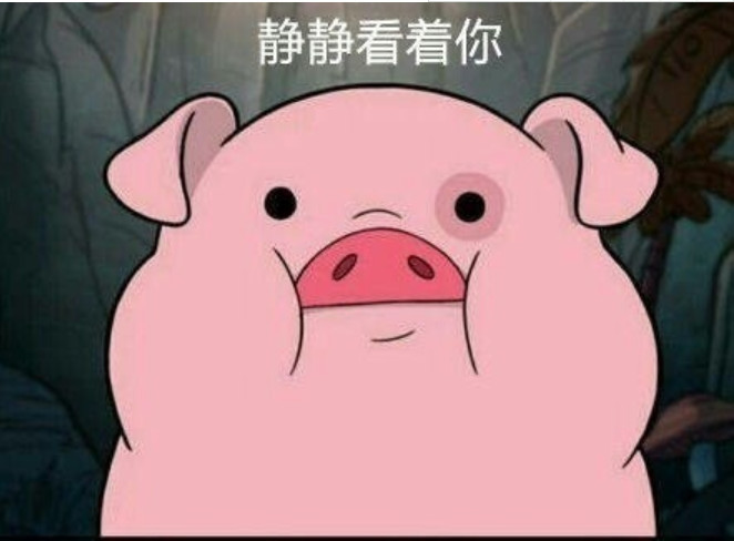 猪头发搞笑卖萌表情包:520聊天必备!