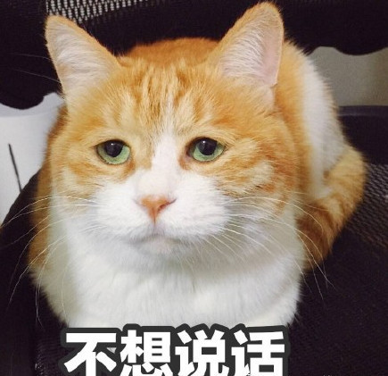 网红大黄猫表情包:这皱皱的表情有点儿怀疑人生呢!