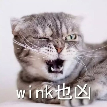 超凶萌猫表情包:人家吐舌头略略略,我很凶的!