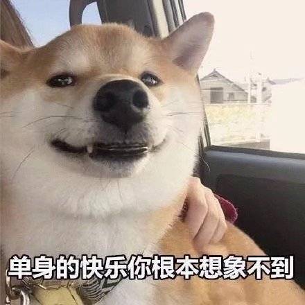 表情包,适合单身贵族的几张图!