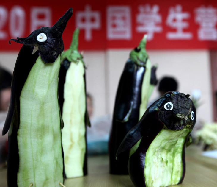 幼儿园用茄子做的手工品合集,乌龟算一般,看到图四:献