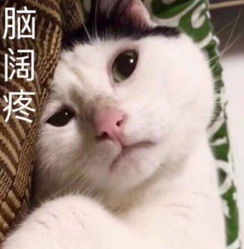 搞笑萌猫表情包:你是没长脑子还是脑子长霉了!