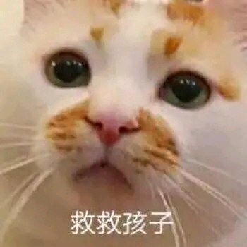 搞笑的表情包:救救孩子