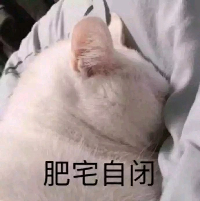 搞笑的表情包:肥宅自闭