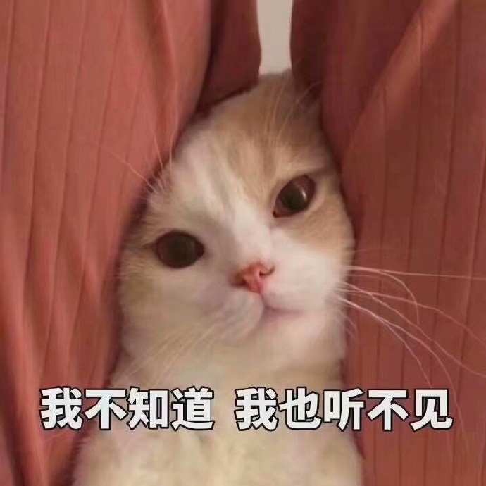 炒鸡可爱猫咪聊天卖萌表情包:撒娇撩妹可用,快收藏起来吧!