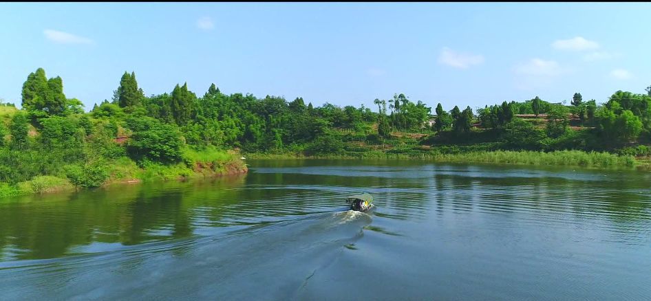 你知道吗?大足这个镇有重庆市第二大水库,还有"国宝"爱吃的"菜"