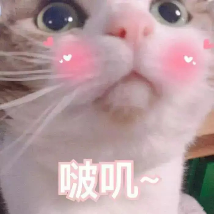 惹男票生气了,道歉是不可能的,丢张表情包给他,啵唧一