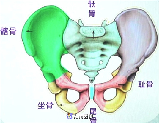 它是一个贯穿人体上下力量的关键转折点.