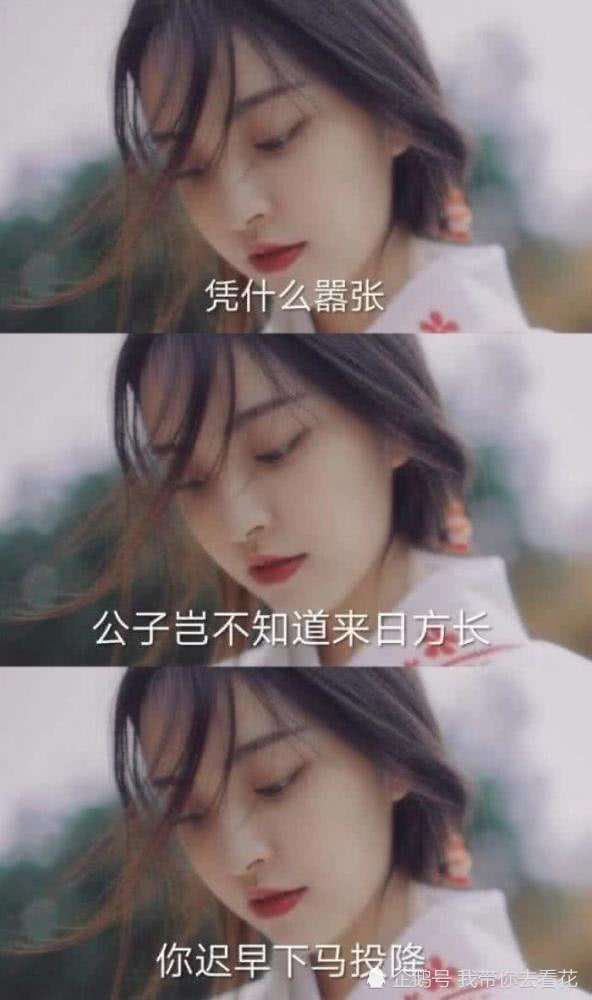 最近 表白 壁纸火爆了 情不知所起 植于心底 此间便是你一人 看点快报