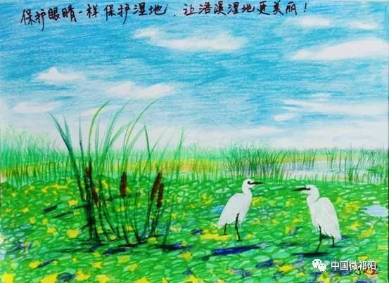 祁阳县中小学生"湿地走进校园"征文,绘画,手抄报大赛获奖公示