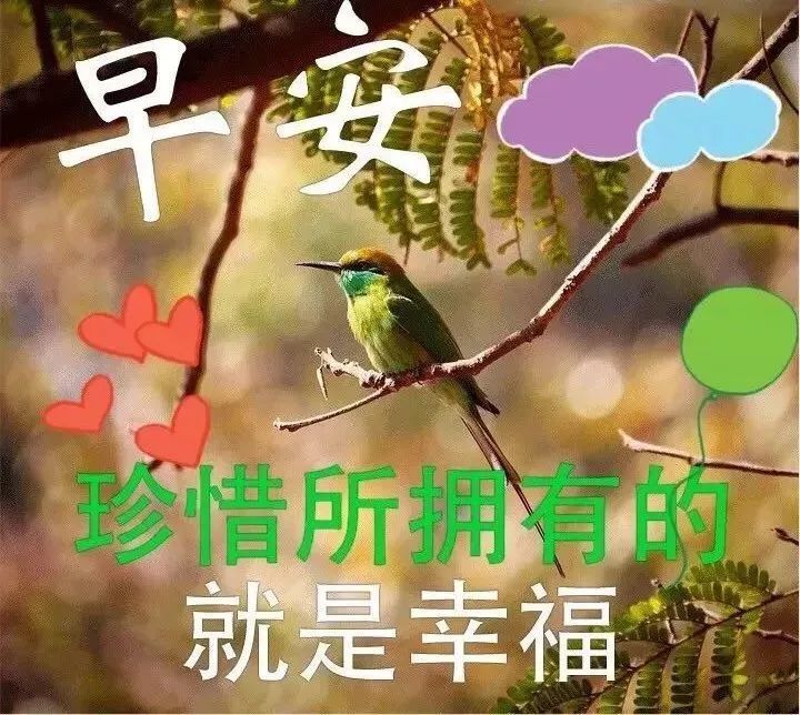 早安贴心情话问候语图片大全 慰问早上好祝福语暖心