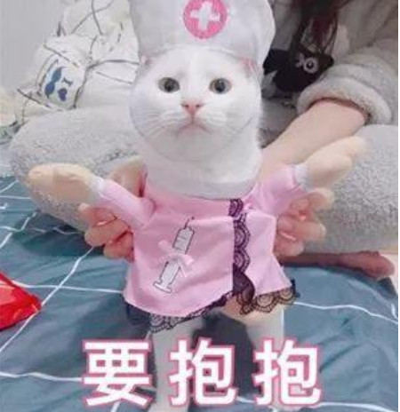 呆萌小猫生气表情包大集合:你这个无情无义又无理取闹