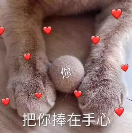 适合给暗恋对象发的表情包,可爱又风趣,不愁ta不动心!