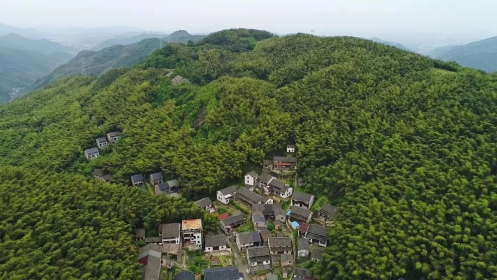 生态环境"全球500佳"的夏履镇双叶村.