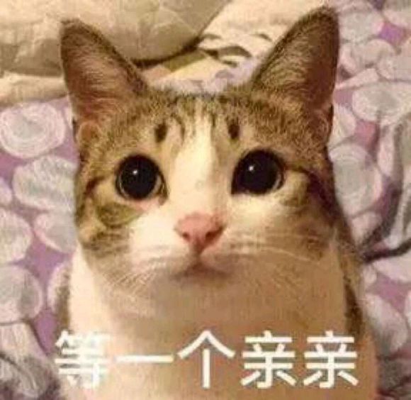 网红猫咪可爱表情包:等一个亲亲!