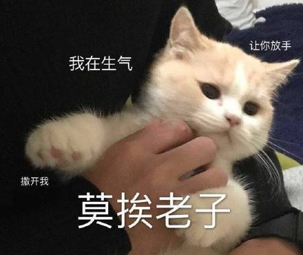 搞笑超逗的表情包,真可爱啊,幸好是属于我的