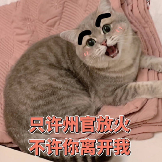 可爱萌猫表情包:我一点都不想你,一点半再想!