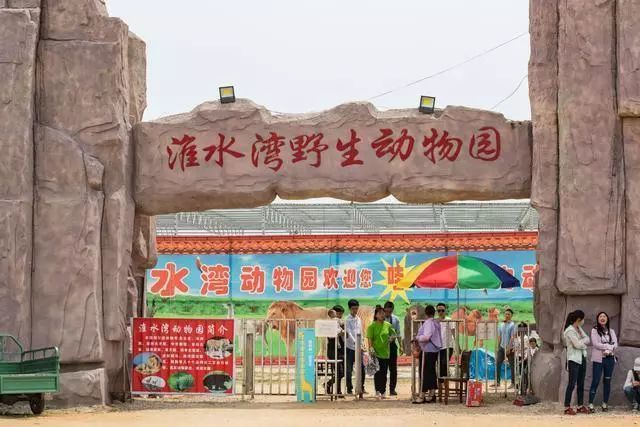 息县火了!庞湾摩天轮,森林旗袍秀,生态园桑葚,地质