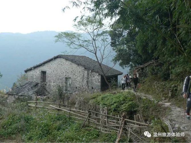 鹿城总人口_天津总人口曲线图(3)