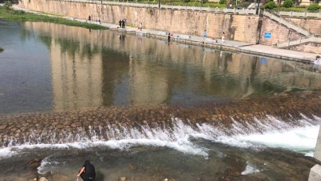 遂昌南溪发现大面积不明原因死鱼