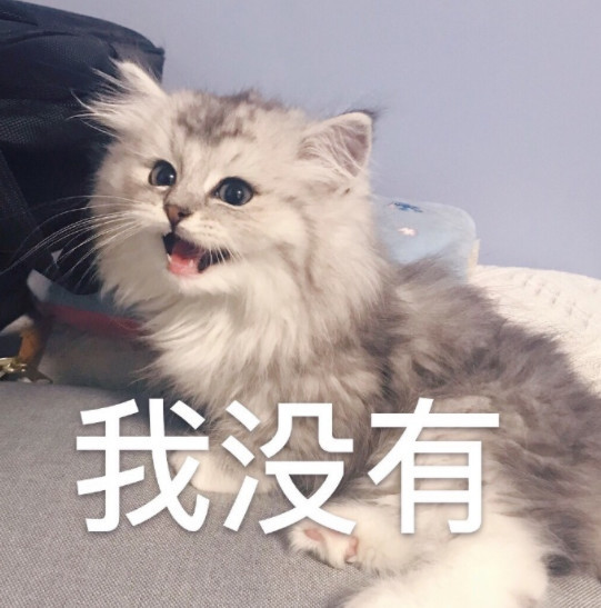 搞笑萌喵表情包:跟我走吧,我混社会养你鸭!