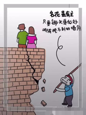 性吊的人口_人口普查图片(3)