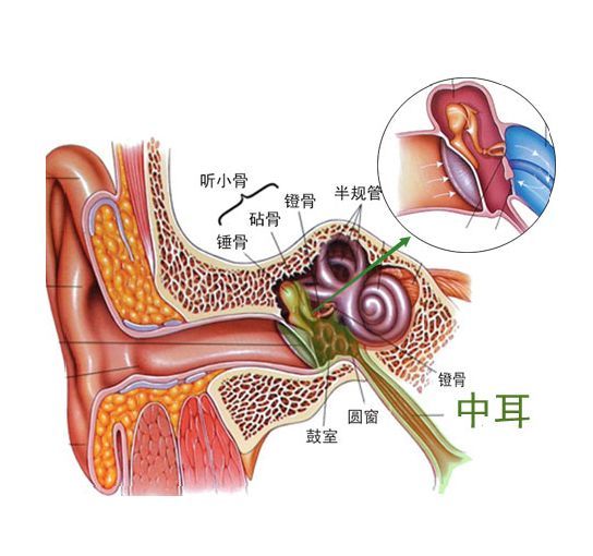 中耳炎严重吗