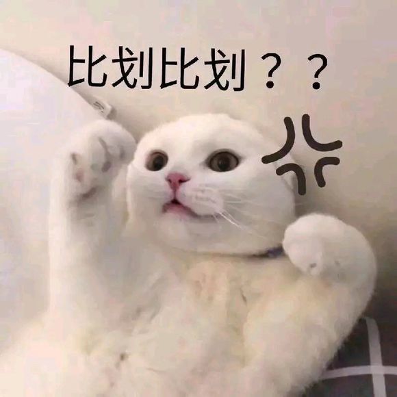 可爱猫咪搞笑表情包:你好冷漠,好像我没有让你开心过一样!