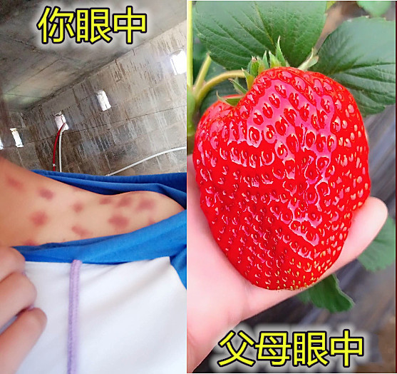 首先就是种草莓了,我们都知道,这是一种男女之间爱的象征,我们所谓的