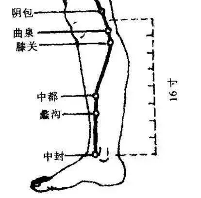 穴位图蠡沟穴舒肝理气调经止带