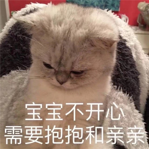 超奶思表情包:熊猫头:我还以为你要泡我呢!白高兴一场!