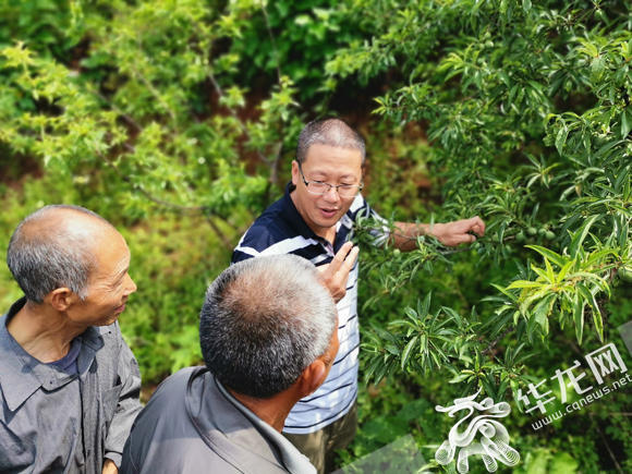 科技专家现场指导种植户 培训课开在田间地头