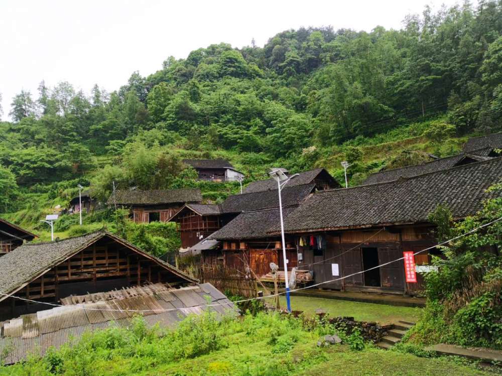 中国传统村落—古丈县夯娄村,一片绿色的海洋