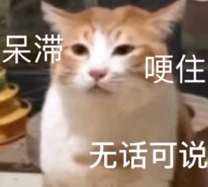 可爱猫咪卖萌表情包:对生活厌烦了,请勿扰!