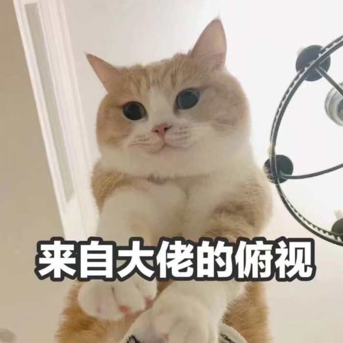 可爱猫咪卖萌表情包:对生活厌烦了,请勿扰!