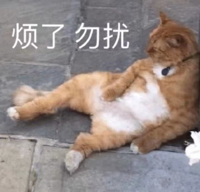 可爱猫咪卖萌表情包:对生活厌烦了,请勿扰!