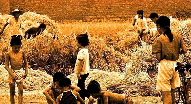 80年代10幅麦收老照片,诉说农村往事,已沦为回忆很难