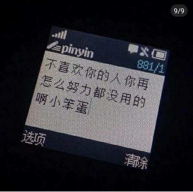 最近火了"遗憾"背景图:很遗憾吧,那么喜欢连张合影都